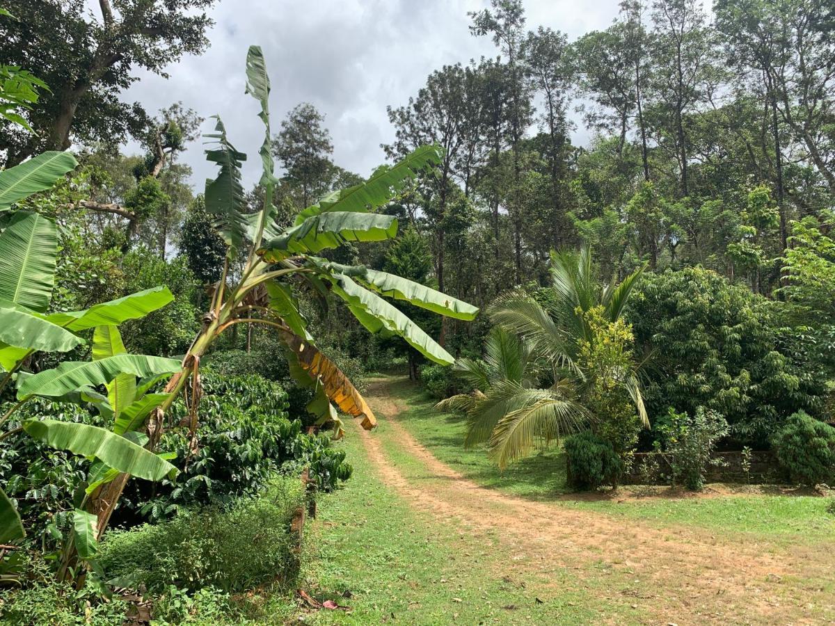 Sandev Homestay Madikeri Ngoại thất bức ảnh