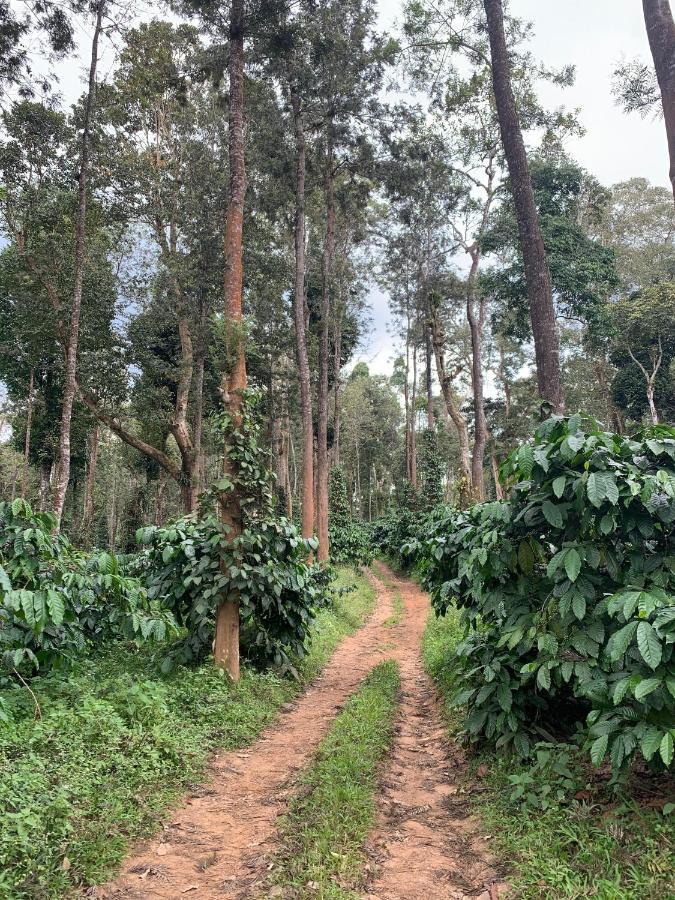 Sandev Homestay Madikeri Ngoại thất bức ảnh