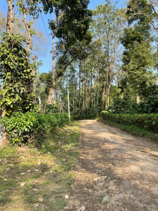 Sandev Homestay Madikeri Ngoại thất bức ảnh